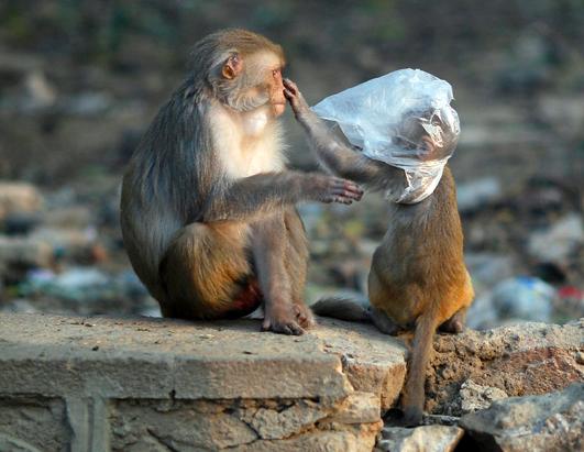 a35d8766028d22ca67d6ac064d416f22