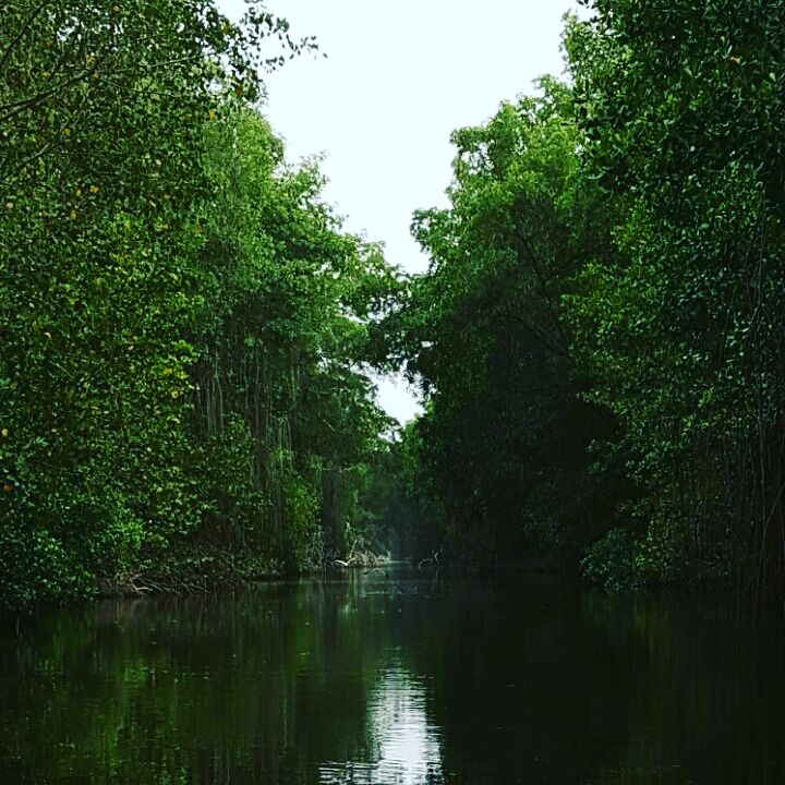 IMG_20170514_140936_010