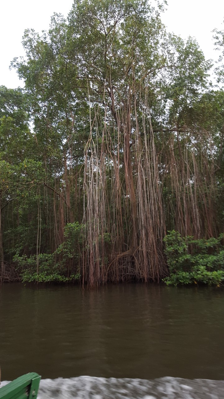 thumbnail_20170513_180251