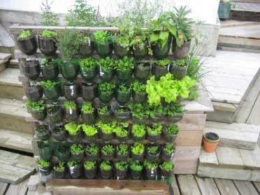 build-a-vertical-garden-from-plastic-bottles-vegetable-ideas-home-design.jpg